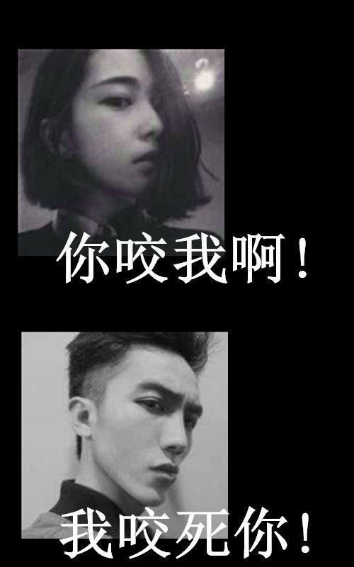 北城以北，南城以南