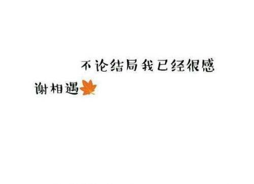 唯美图片，文字图片,情侣图片qqqqp