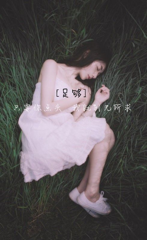 我的心却被你伤的零落零落 唯美伤感的女生QQ皮肤