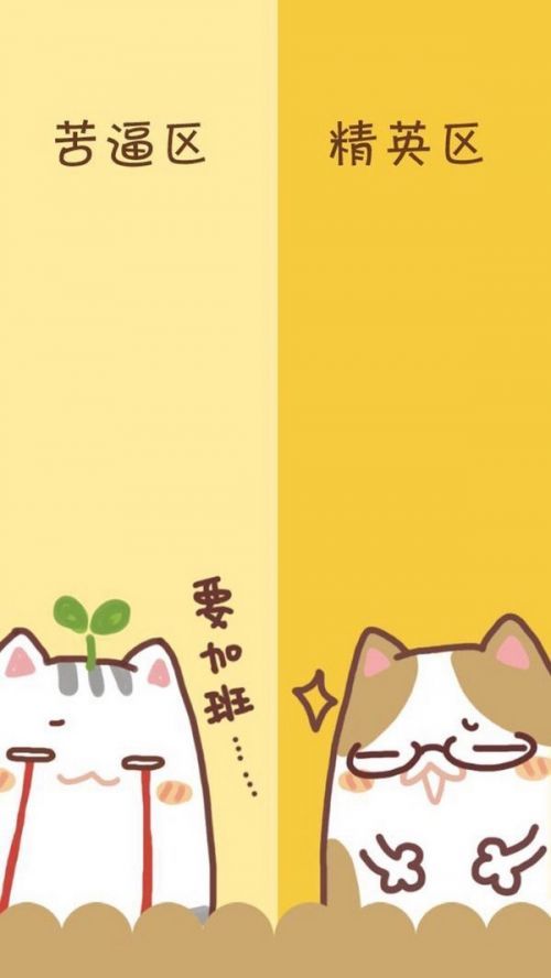 这是一个特别的隔离区