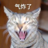 情侣头像qqjay