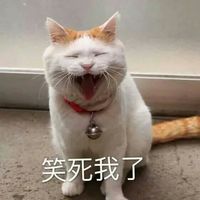 情侣头像qqjay