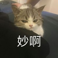 情侣头像qqjay