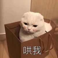 情侣头像qqjay