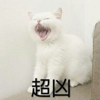 情侣头像qqjay