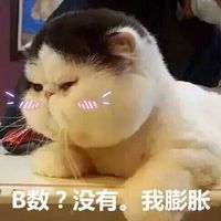 情侣头像qqjay
