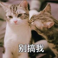 情侣头像qqjay