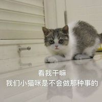 情侣头像qqjay