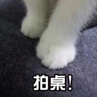 情侣头像qqjay