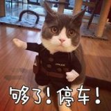 不管是感情还是生活 见好就收 不行就撤
