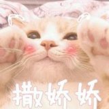 撒娇 专用 111