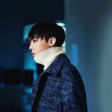 送给vip们
