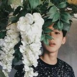 一切的美好，配得上你。伤感2016男生头像