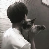 情侣头像qqjay