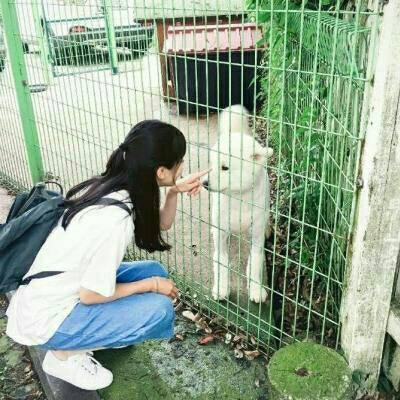 情侣头像qqqqp
