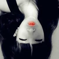 qqqqp.com