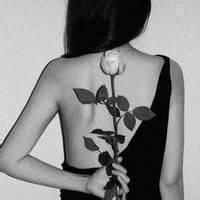 qqqqp.com