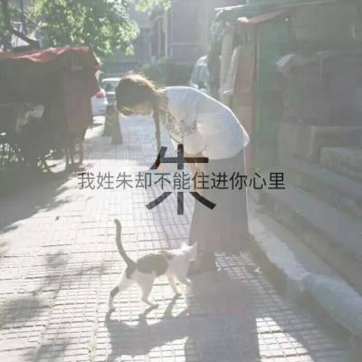 情侣头像qqqqp