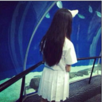 qqqqp.com
