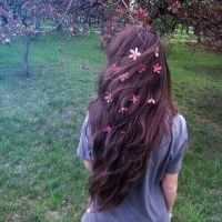 qqqqp.com