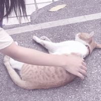 情侣头像qqqqp