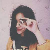 qqqqp.com