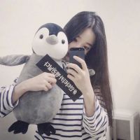 qqqqp.com