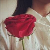 qqqqp.com