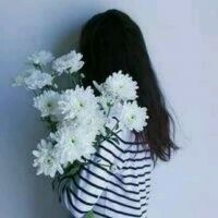 qqqqp.com