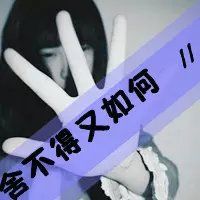 qqqqp.com