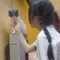 qqqqp.com