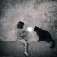 qqqqp.com