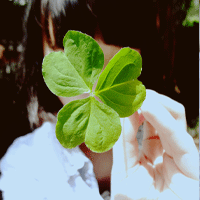 qqqqp.com