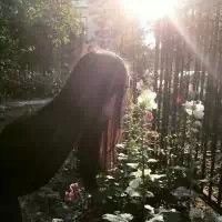 qqqqp.com