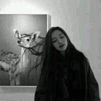 qqqqp.com