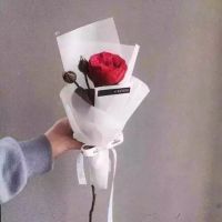 qqqqp.com