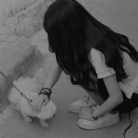 qqqqp.com