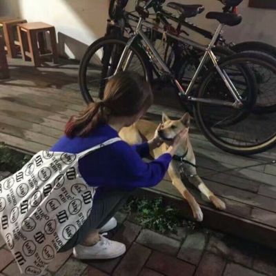 情侣头像qqqqp