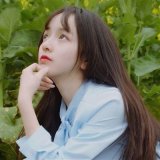 我找不到理由去打扰你了