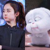 颖子 赵丽颖可爱头像大全