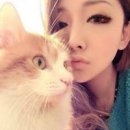 你不懂我沉默又怎懂我疯狂