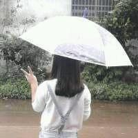 qqqqp.com