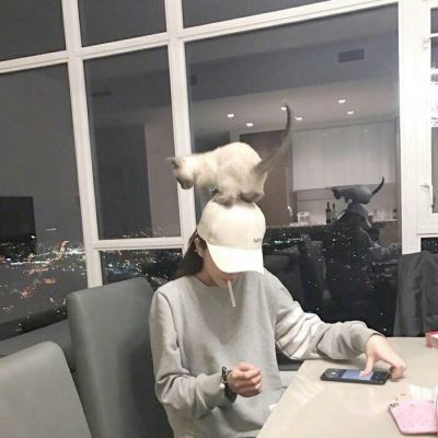 情侣头像qqqqp