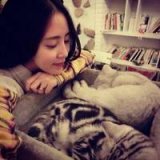 喜欢猫咪的女生QQ头像