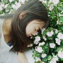 如果夏天不会老去