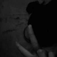 qqqqp.com