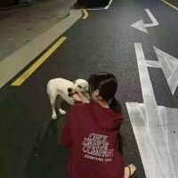 情侣头像qqqqp