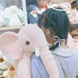 一别两宽之后 也曾见过你 只是在梦里