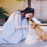 无爱意，单身皆可