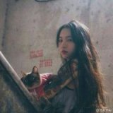 如果可以安逸 那么谁又会选择颠沛流离